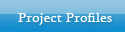 Project Profile